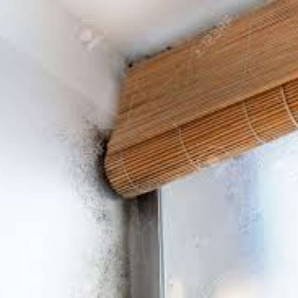 Venetian blind with mold Venetian blind with mold