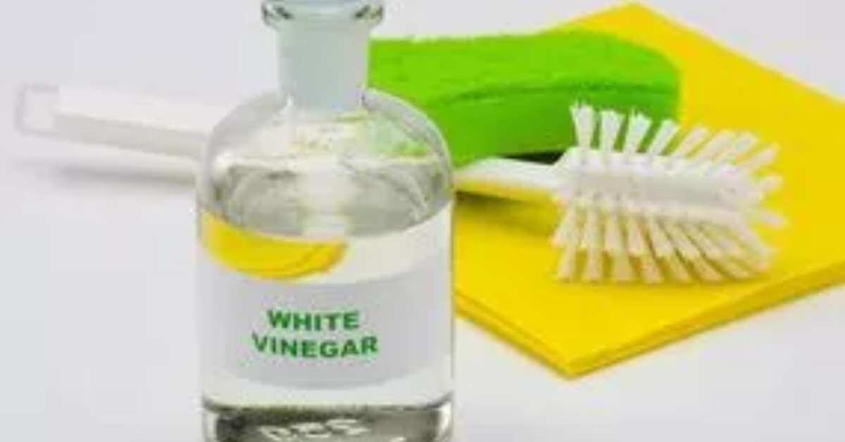 Vinegar Vinegar