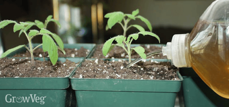 organic liquid fertilizer organic liquid fertilizer