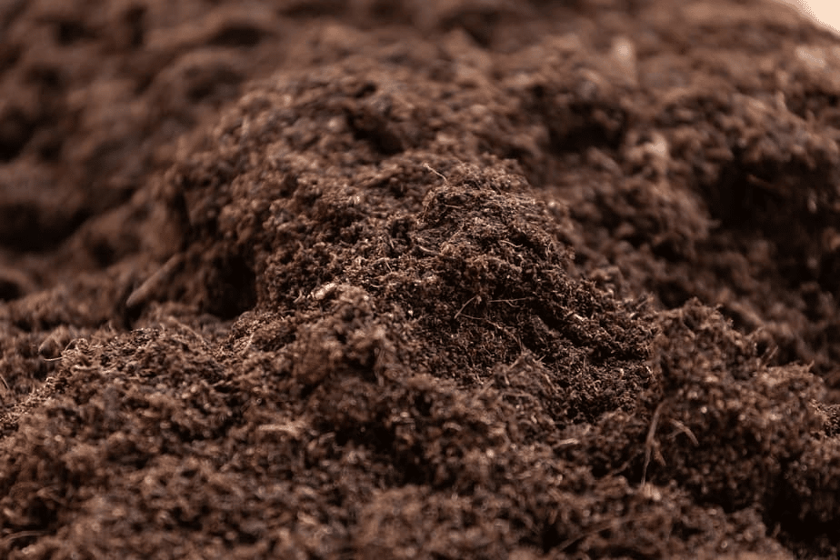 potting mix potting mix