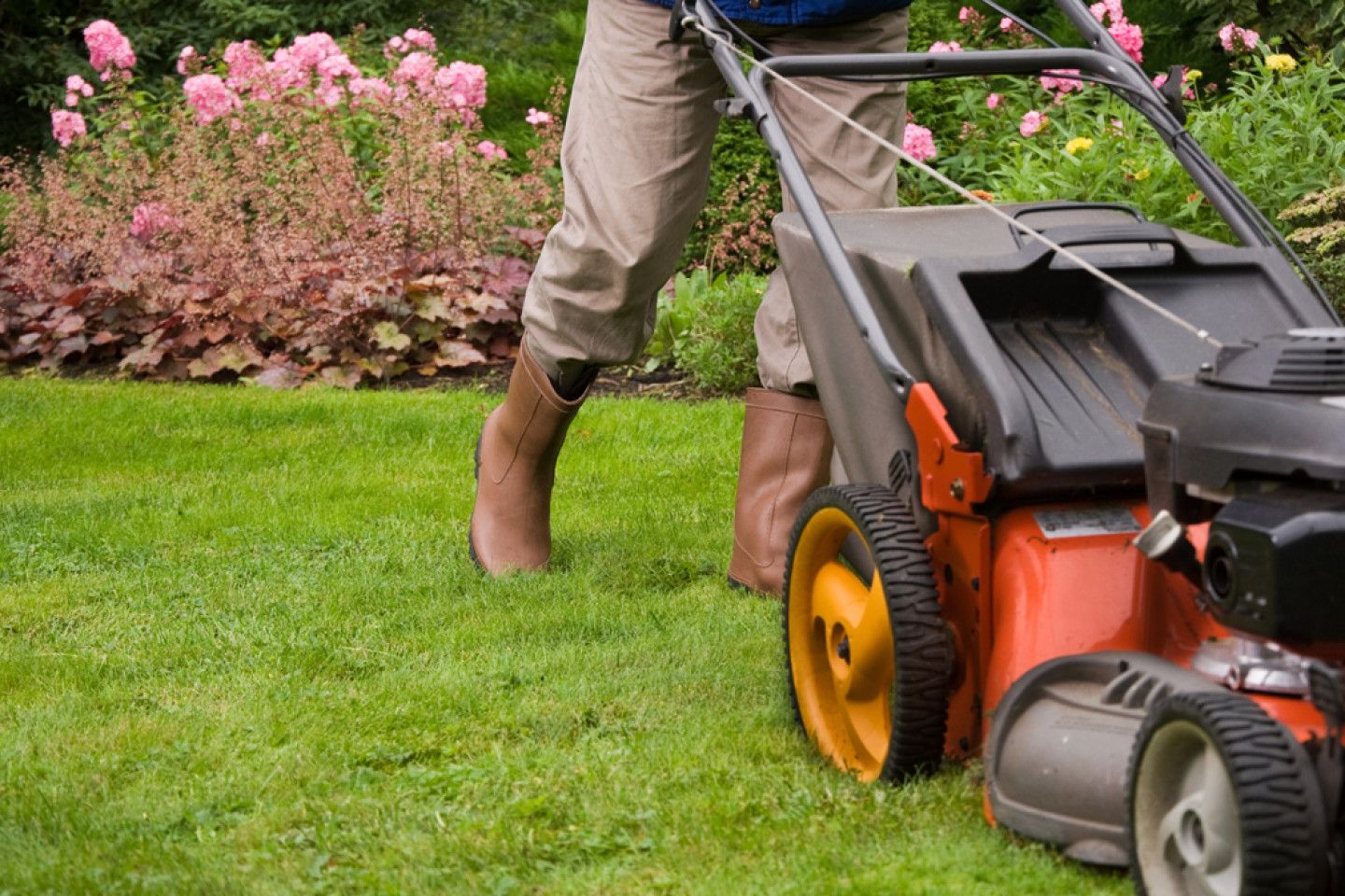 Hire a Professional Lawn Care Service