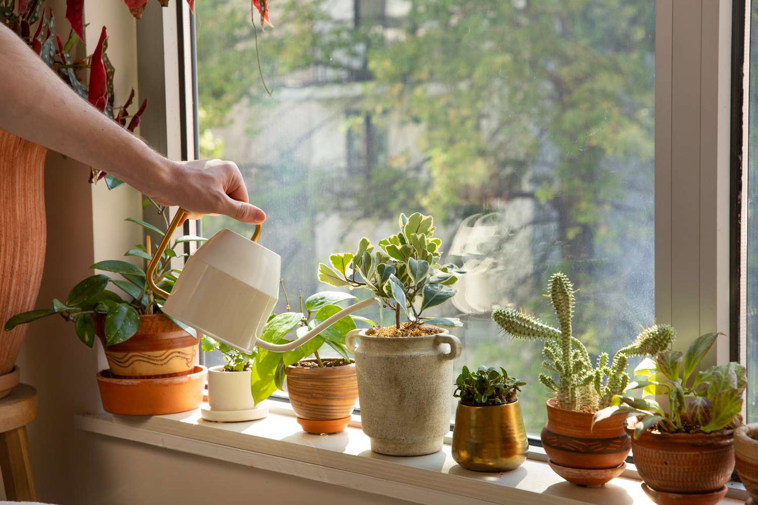 Maintain a Schedule for Watering the Plants