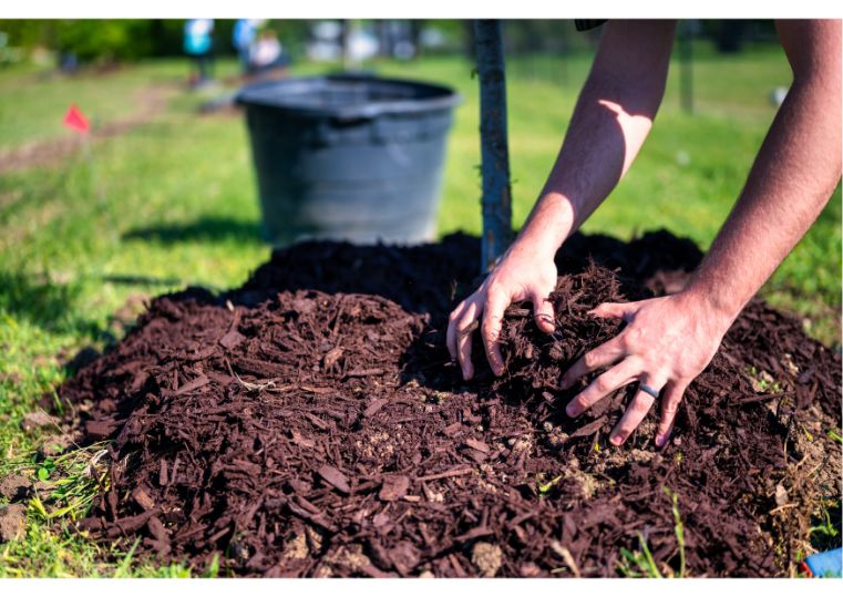 Inorganic Mulch