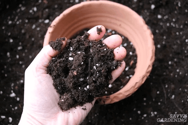 Potting soil Potting soil