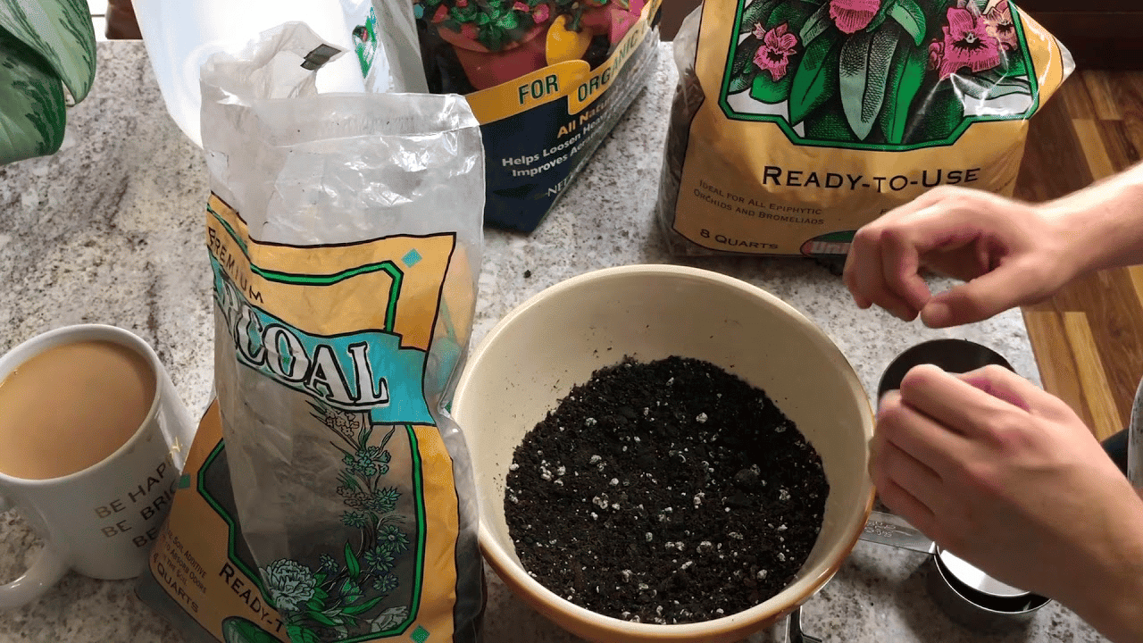 Soil mix for philodendron