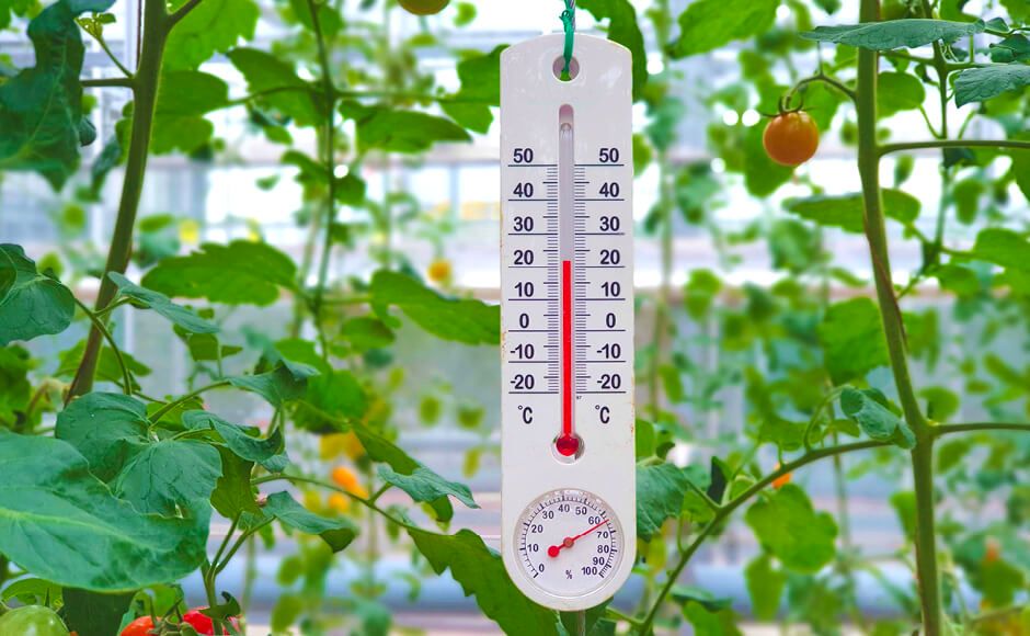 Thermometer in a garden