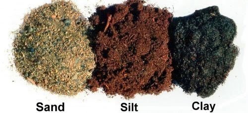 Soil Type