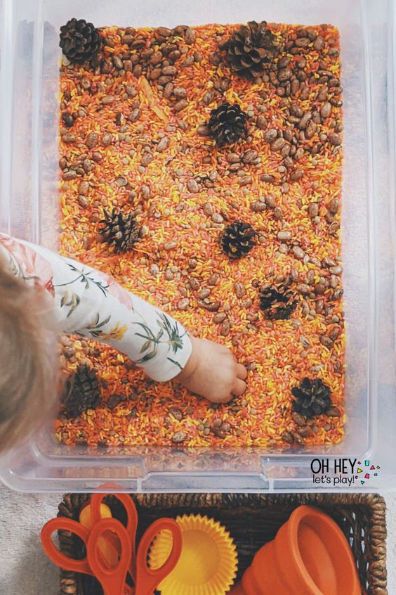 Autumn Seeds Water Table