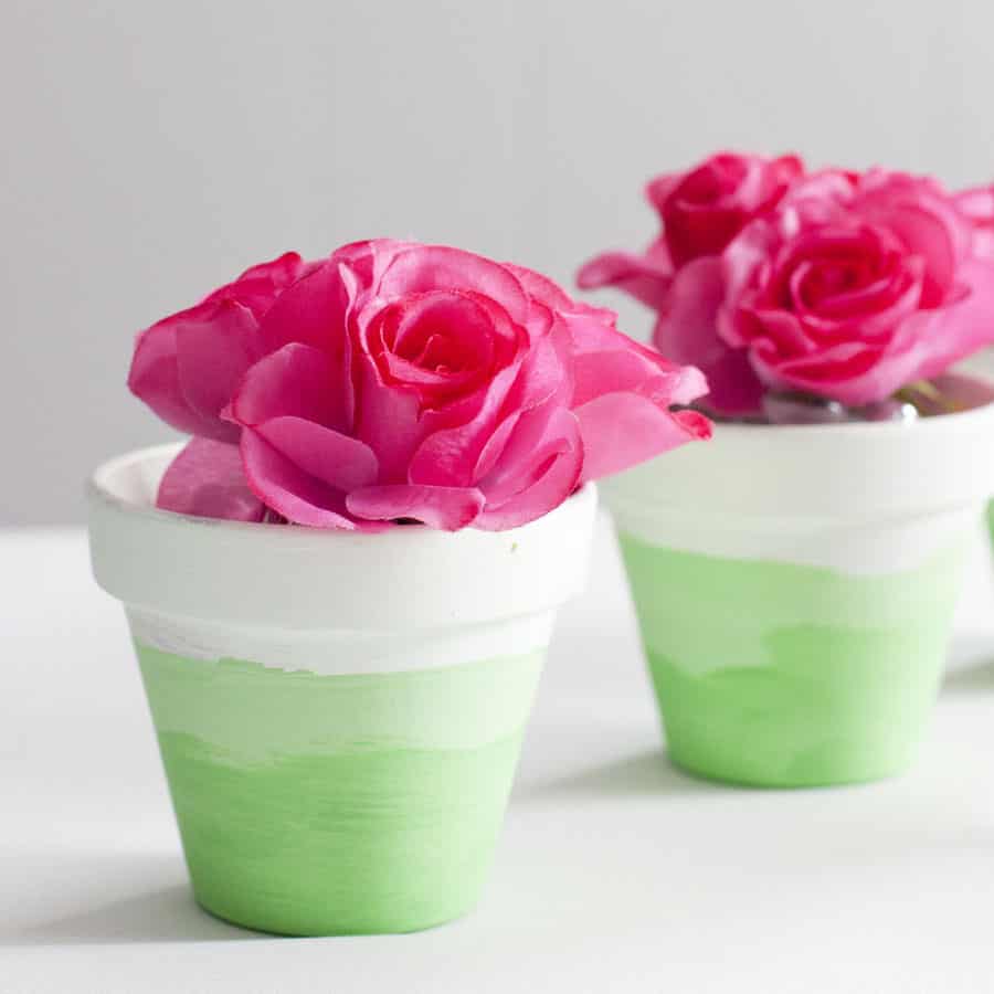 Mini ombre flower pot design ideas