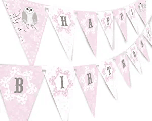 Owl-themed birthday party banner in pink