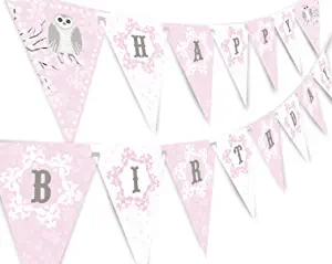 Owl-themed birthday party banner in pink Owl-themed birthday party banner in pink