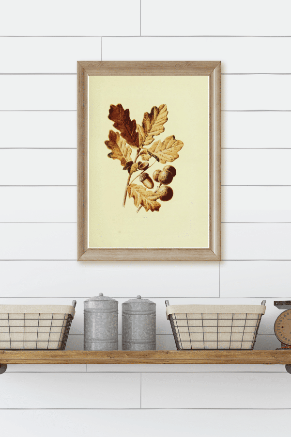 Free Vintage Fall Printables Free Vintage Fall Printables