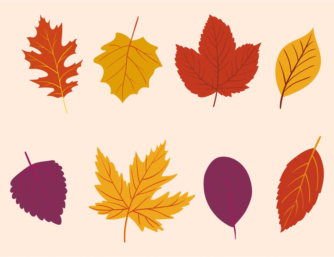 Get fitting fall aesthetics with these fall leaves prints