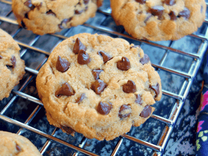 A serving of an AIP-diet-friendly cookie made with cassava flour A serving of an AIP-diet-friendly cookie made with cassava flour