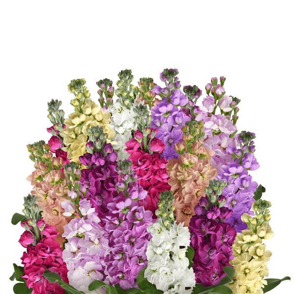 Column Mix Flowers