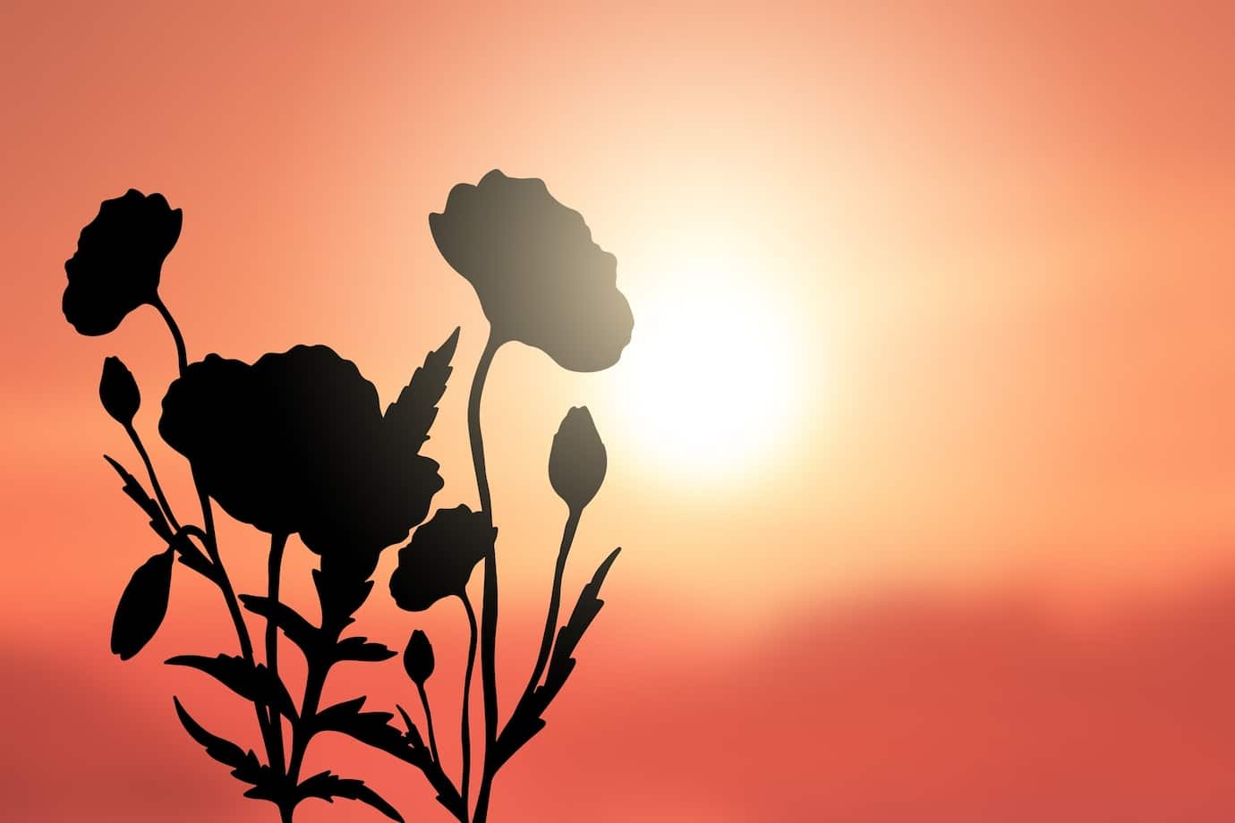Flower silhouttes