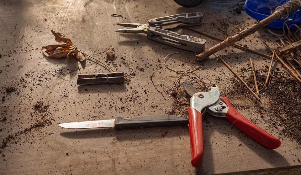 Pruning tools