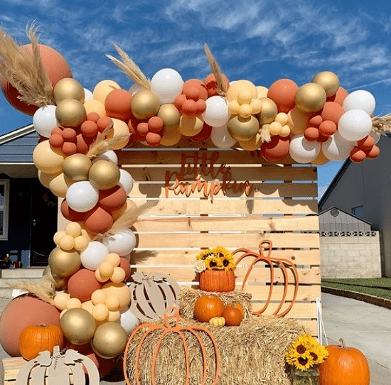 Pumpkin theme Pumpkin theme
